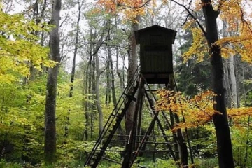 ஜேர்மனியில் காடு ஒன்றில் கட்டிவைக்கப்பட்டிருந்த நபர்: பெண் ஒருவரைத் தேடும் பொலிசார்