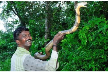 தலைக்கு வந்தது தலைப்பாகையோடு போச்சு..உயிர் பிழைத்த வாவா சுரேஷ்