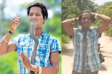 பாம்புக்கு முத்தம் கொடுத்து ரீல்ஸ் - லைக்ஸ்க்கு ஆசைப்பட்டு பறிபோன உயிர்