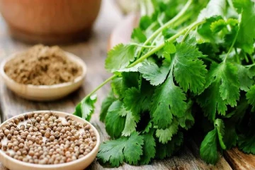 கொத்தமல்லியின் விலை 1,900 ரூபா வரை உயர்வு