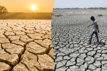 யாழ். மாவட்ட வறட்சி நிலவரம் தொடர்பில் அவதானம்