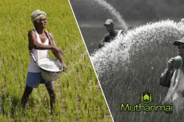 உரமானியத்திற்கான நிதி தொடர்பில் ஜனாதிபதி வெளியிட்ட தகவல்