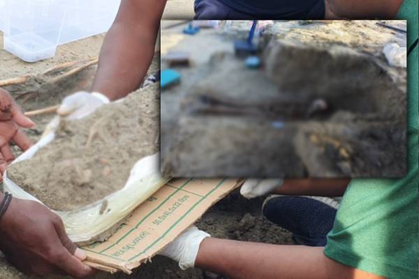 செம்மணியில் காலில் செருப்புடன் எலும்புக்கூடு | Human Skeleton Buried Stock Photos In Chemmani