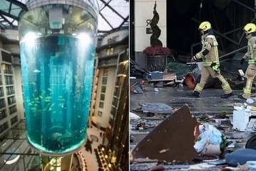 வெடித்துச் சிதறிய உலகின் மிகப்பெரிய மீன் காட்சித் தொட்டி! சிறிய தவறால் பாரிய அசம்பாவிதம்