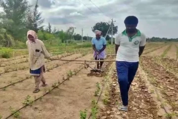 மகன் மற்றும் மகளை ஏரில் பூட்டி உழுத விவசாயி - என்ன காரணம்?