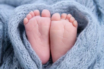 பச்சிளம் குழந்தையின் தலையை கொண்டு வந்த நாய் - உடல் எங்கே? தேடும் போலீசார்