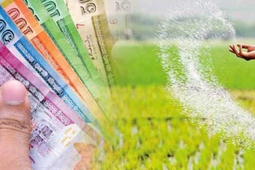 මේ අයට වැට් බද්දෙන් සිදුවන විශේෂ බලපෑම.. ඔබත් ඇතුලත් ද..?