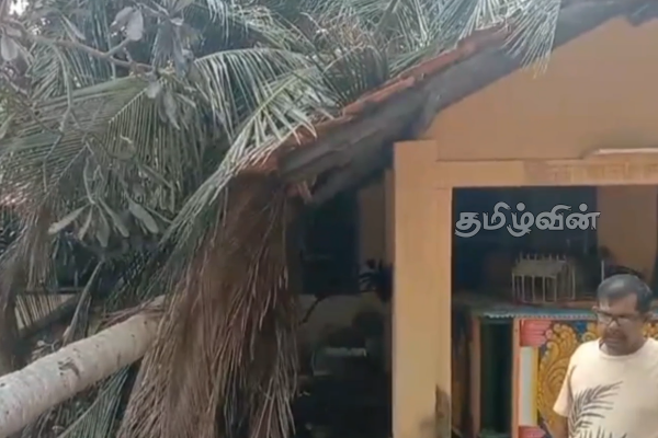 நல்லண்டை பத்திரகாளி அம்மன் ஆலயத்தில் குவிக்கப்பட்டிருந்த விறகு மீது விசமிகள் தீ வைப்பு | Fire Set On Pile Of Firewood Piled Up In Temple