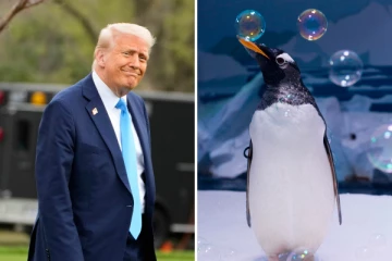 பென்குயின்கள் மட்டும் வாழும் இரண்டு தீவுகளுக்கு ட்ரம்ப் விதித்த வரி