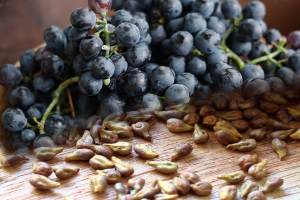 நாம் தூக்கி போடும் திராட்சை விதைகளில் இவ்வளவு நன்மைகளா! | So Many Benefits Grape Seeds