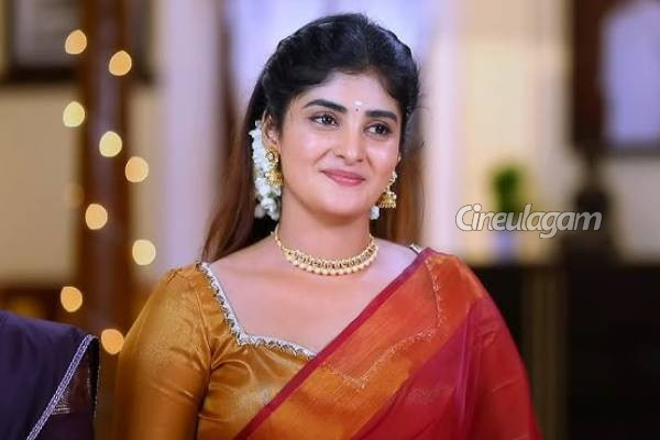 சன் டிவியின் ஹிட் சீரியலில் கதாபாத்திர மாற்றம்.. யாரு பாருங்க, போட்டோவுடன் இதோ | New Character Change In Punitha Serial