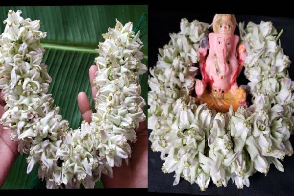 விநாயகரின் பரிபூரண அருள் கிடைக்க எளிய வழிபாட்டு முறை | Vinayagar Sathurthi Valipadu Murai Astrology