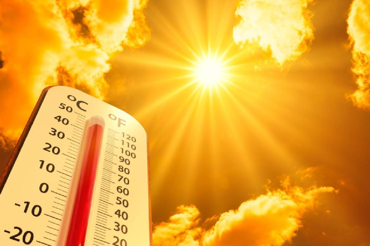 ஜேர்மன் மக்களுக்கு விடுக்கப்பட்டுள்ள எச்சரிக்கை | Severe Heat Ravages Germany 9 800 Dead So Far ஜேர்மன் மக்களுக்கு விடுக்கப்பட்டுள்ள எச்சரிக்கை | Severe Heat Ravages Germany 9 800 Dead So Far