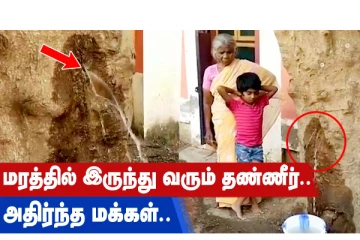 மரத்தில் இருந்து வரும் தண்ணீர் - அதிர்ந்த மக்கள்