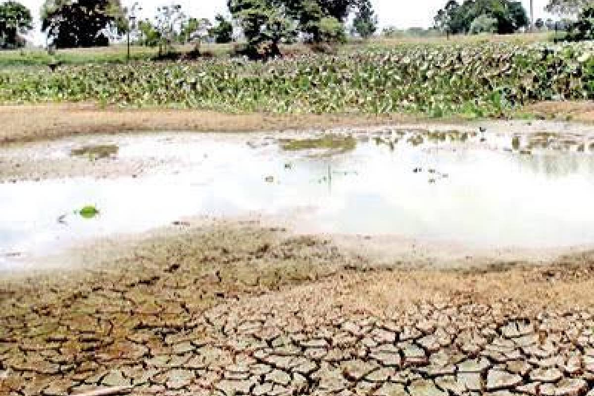 இலங்கையின் பிரதேசமொன்றில் கடும் வறட்சி : 778 குளங்கள் முற்றாக வற்றின | Severe Drought In Rajarata 778 Tanks Dry Up