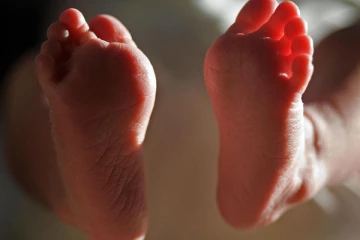 பிரித்தானியாவில் நாய் கடித்து குதறியதில் 3 மாத குழந்தைக்கு நேர்ந்த பரிதாபம்: இருவர் கைது