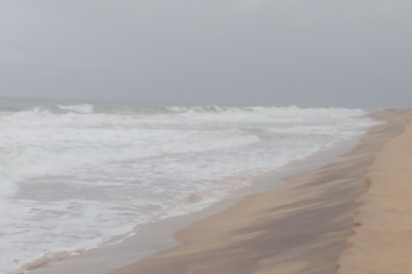 போர்க்கால அடிப்படையில் இலங்கையில் மீட்பு பணிகளில் இந்தியா: இயக்குநர் வ.கௌதமன் வேண்டுகோள் | India In Rescue Operations In Sri Lanka