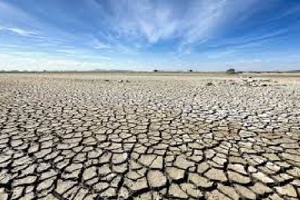 வறட்சியினால் பாதிக்கப்பட்டுள்ள பிரிட்டிஷ் கொலம்பியா | British Columbia Drought