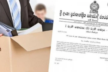 திடீரென வேலையிலிருந்து நீக்கப்பட்டால் ரூபா 25 இலட்சம் நட்டஈடு - வெளிவந்தது புதிய சட்டம்