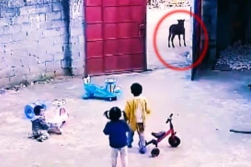 5 மில்லியன் பார்வையாளர்களின் பாராட்டை பெற்ற சிறுவன்! தங்கைகளை பாதுகாத்த அழகை பாருங்க