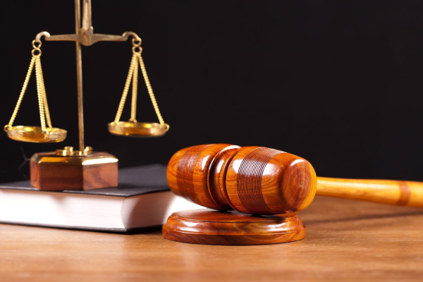 நாட்டில் உரிமைகளுடன் வாழும் சூழல் ஏற்படுத்தப்பட வேண்டும் | Nvironment Rights Are Respected Must Be Created நாட்டில் உரிமைகளுடன் வாழும் சூழல் ஏற்படுத்தப்பட வேண்டும் | Nvironment Rights Are Respected Must Be Created