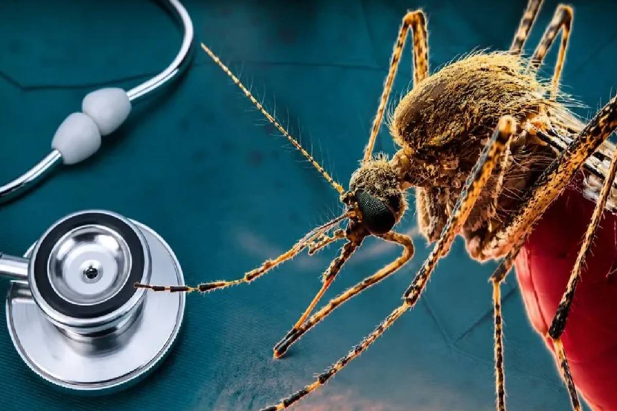 56 ஆக உயர்ந்த பலி எண்ணிக்கை ; அதிகரிக்கும் டெங்கு அபாயம் | Dengue Death Toll Rises To 56 56 ஆக உயர்ந்த பலி எண்ணிக்கை ; அதிகரிக்கும் டெங்கு அபாயம் | Dengue Death Toll Rises To 56