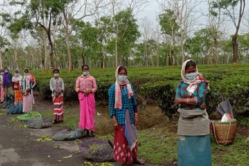 நூறு வீத தடுப்பூசி இலக்கை அடைந்துள்ள பெருந்தோட்டத் தொழிலாளா்கள்