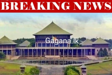 මීට සුළු මොහොතකට පෙර පාර්ලිමේන්තුවේ සිදු වූ විශේෂ දේ මෙන්න.(VIDEO)