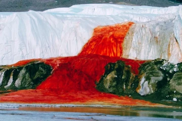 இயற்கையாகவே சிகப்பு நிறத்தில் ஓடும் அருவி.! Blood Falls-ன் ரகசியம் என்ன?