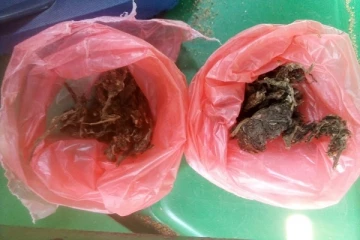 வவுனியாவில் கஞ்சாவுடன் ஒருவர் கைது