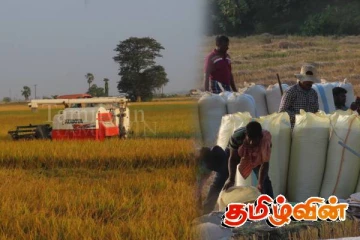 பெரும்போக வேளாண்மை அறுவடை பணிகள் மீண்டும் ஆரம்பம்