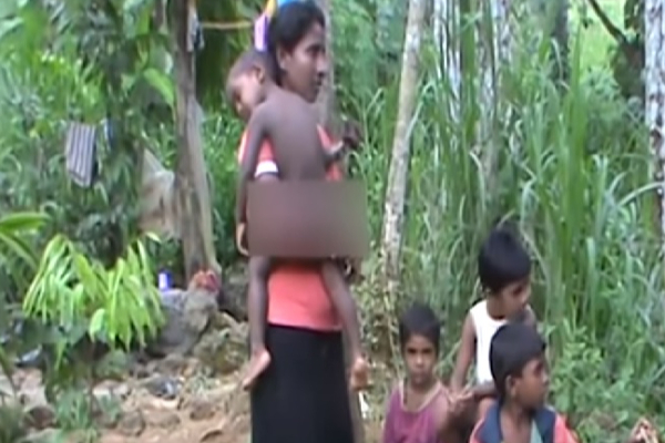 சகோதர, சகோதரிகள் பசியாற பலாக்காய் பறிக்கும் சிறுவன் | Brother Sisters Hungry Jackfruit Picker Boy
