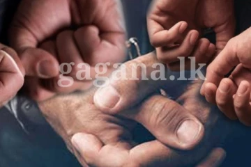 කාන්තාවක් මෙහෙය වූ කෝටි ගානක මංකොල්ලය.