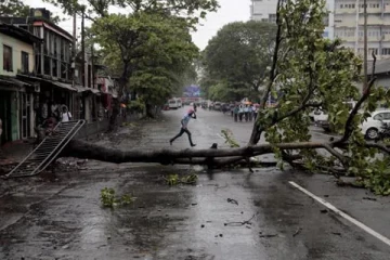 வீதியில் பயணித்த ஆட்டோ மீது மரம் வீழ்ந்ததில் நேர்ந்த அனர்த்தம்