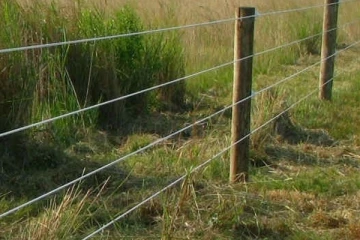 மின்சாரம் தாக்கி இளைஞன் உயிரிழப்பு