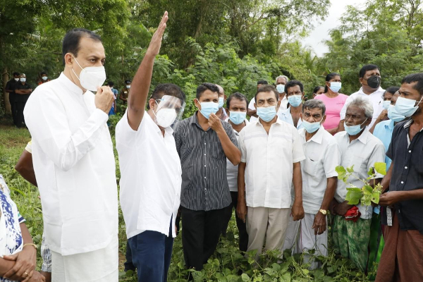 விவசாய நிலங்களைப் பார்வையிட்ட சஜித் பிரேமதாச! | Sajith Premadasa Visits Agricultural Lands