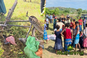 சம்பூரில் யானை தாக்கி முதியவர் பலி