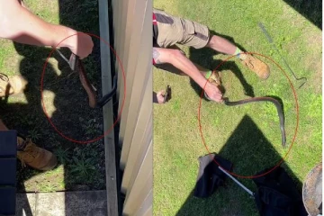 அவுஸ்திரேலியாவில் பாம்பு பிடி வீரரையே தாக்க முயன்ற பாம்பு! குடும்பத்தை காப்பாற்ற நடந்த போராட்டம்.. வீடியோ காட்சி