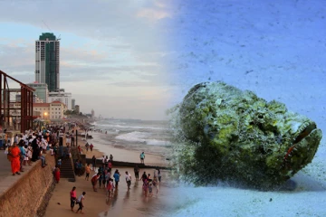 இலங்கை கடற்பரப்பில் நச்சுத்தன்மை மிக்க மீன் : விடுக்கப்பட்டுள்ள எச்சரிக்கை