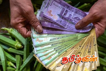 மரக்கறிகளின் விலைகளில் ஏற்பட்டுள்ள சடுதியான அதிகரிப்பு