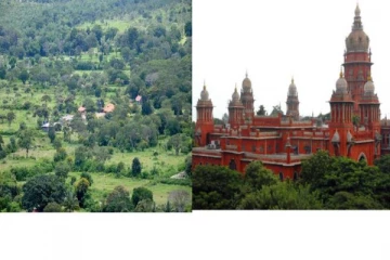 மரங்களை காக்க நிபுணர் குழு அமைக்க கோரி வழக்கு: அறிக்கை தாக்கல் செய்ய தமிழக அரசுக்கு உயர் நீதிமன்றம் உத்தரவு