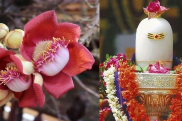 அதிர்ஷ்டத்தை வழங்கும் அற்புத பூ