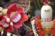 அதிர்ஷ்டத்தை வழங்கும் அற்புத பூ