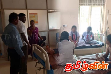 முல்லைத்தீவில் குளவிக்கொட்டிற்கு இலக்கான ஆறு பாடசாலை மாணவர்கள் மருத்துவமனையில்..!