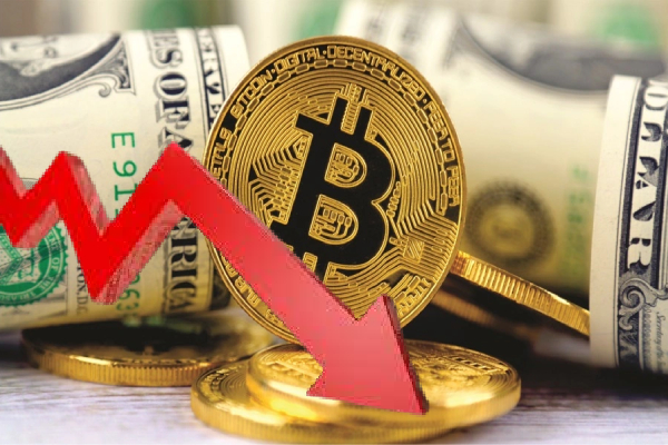 புலம்பெயர் இலங்கையர்களின் பணம் அனுப்பல் 50 சதவீதத்தினால் வீழ்ச்சி! மத்திய வங்கி வெளியிட்ட தகவல் - ஐபிசி தமிழ்