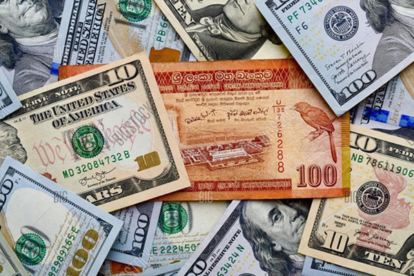 அதிரடி மாற்றம் கண்ட டொலர் பெறுமதி | Exchange Usd Rate In World Market Today