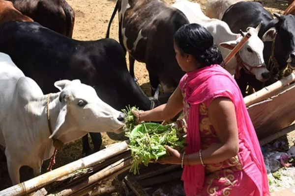 கோவிலில் இருந்து கொண்டு வரும் இந்த பொருட்களை யாருக்குமே கொடுக்க கூடாதாம் | Temple Should Not Be Given To Anyone