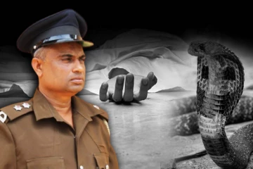 மாந்தை கிழக்கு வருமான வரி பரிசோதகர் பாம்புக்கடிக்கு இலக்காகி மரணம்