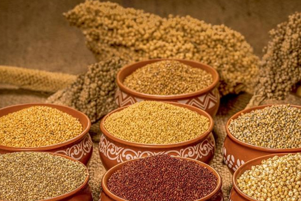 கேழ்வரகில் இத்தனை நன்மைகளா | Small Grains Are Given As Food In Case Of Diseases