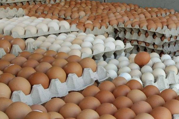 இலங்கையில் மீண்டும் முட்டைக்கு ஏற்பட்டுள்ள சிக்கல்! | Sri Lanka There Is A Problem With Eggs Again